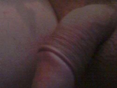 Darek