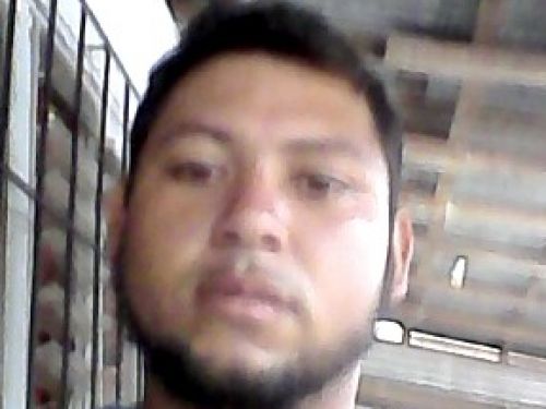 repollin