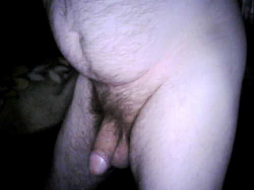 willy24