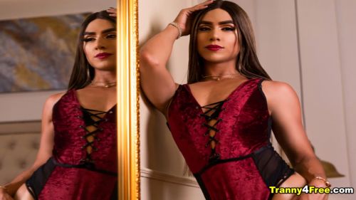 tranny4freereal