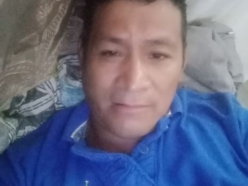 Pito2319