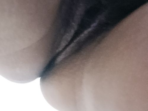 Chacalosa