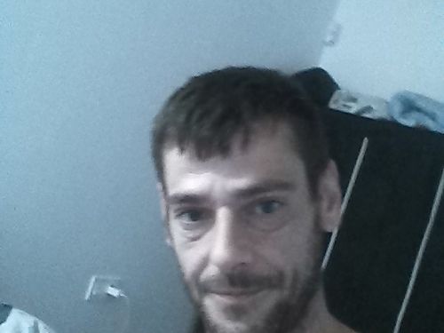 timido1