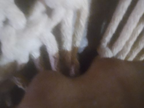 Newboyarg