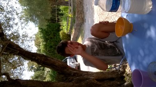 cyprien1