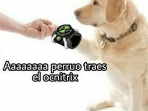 Toretxx