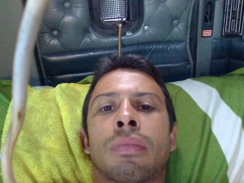 Comadreja
