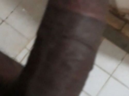 Sessule