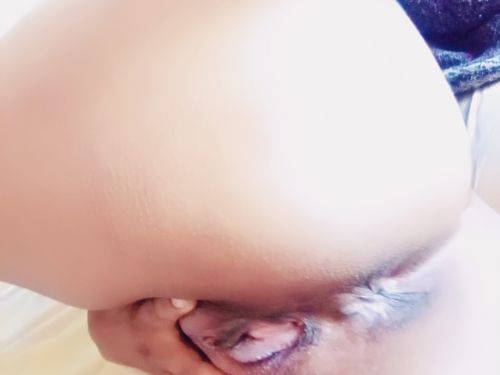 Dafne_putita