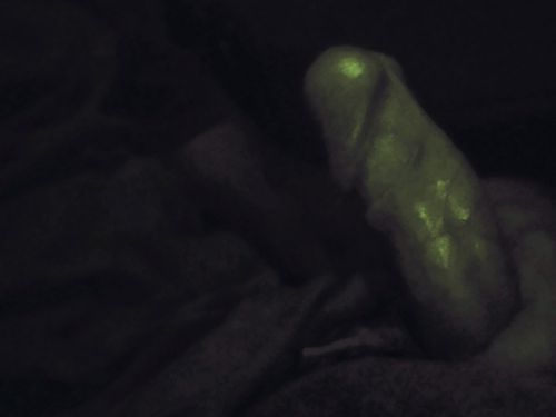 Picoteloyo