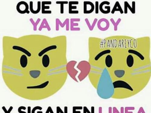 Chavita